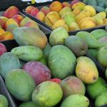mango5
