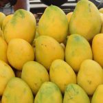mango6