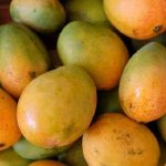 mango7