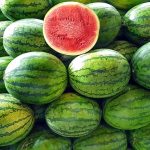 watermelon3